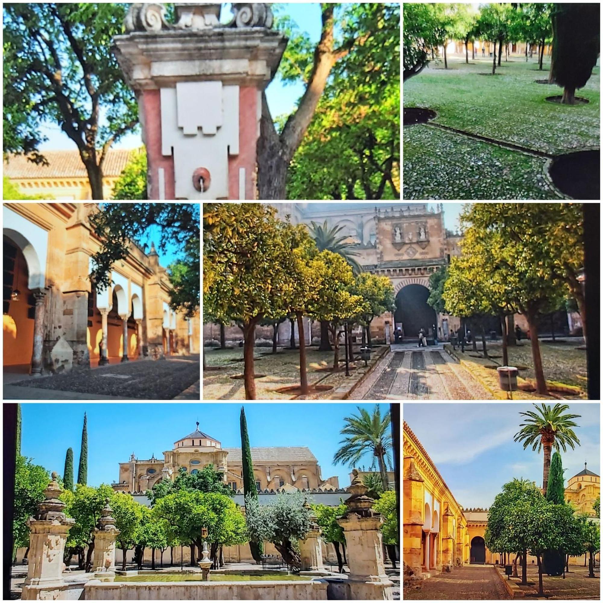 A 20 Metros De La Mezquita Catedral ,Apartamentos Turistico Cespedes 5 Córdoba Værelse billede