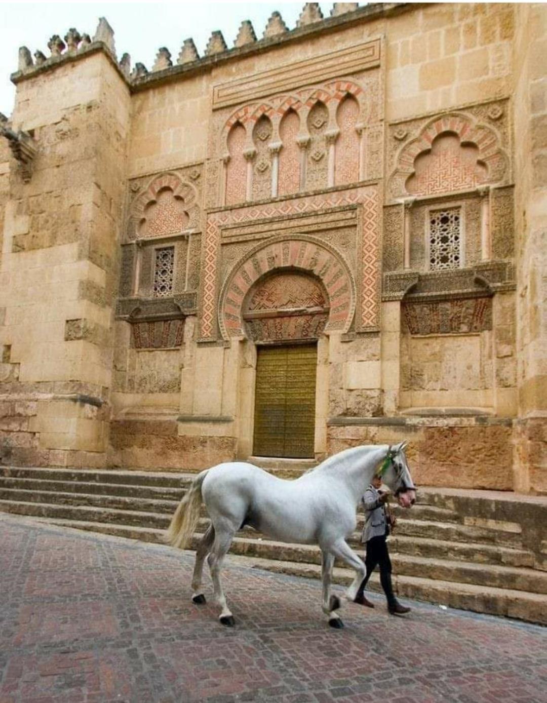 A 20 Metros De La Mezquita Catedral ,Apartamentos Turistico Cespedes 5 Córdoba Værelse billede