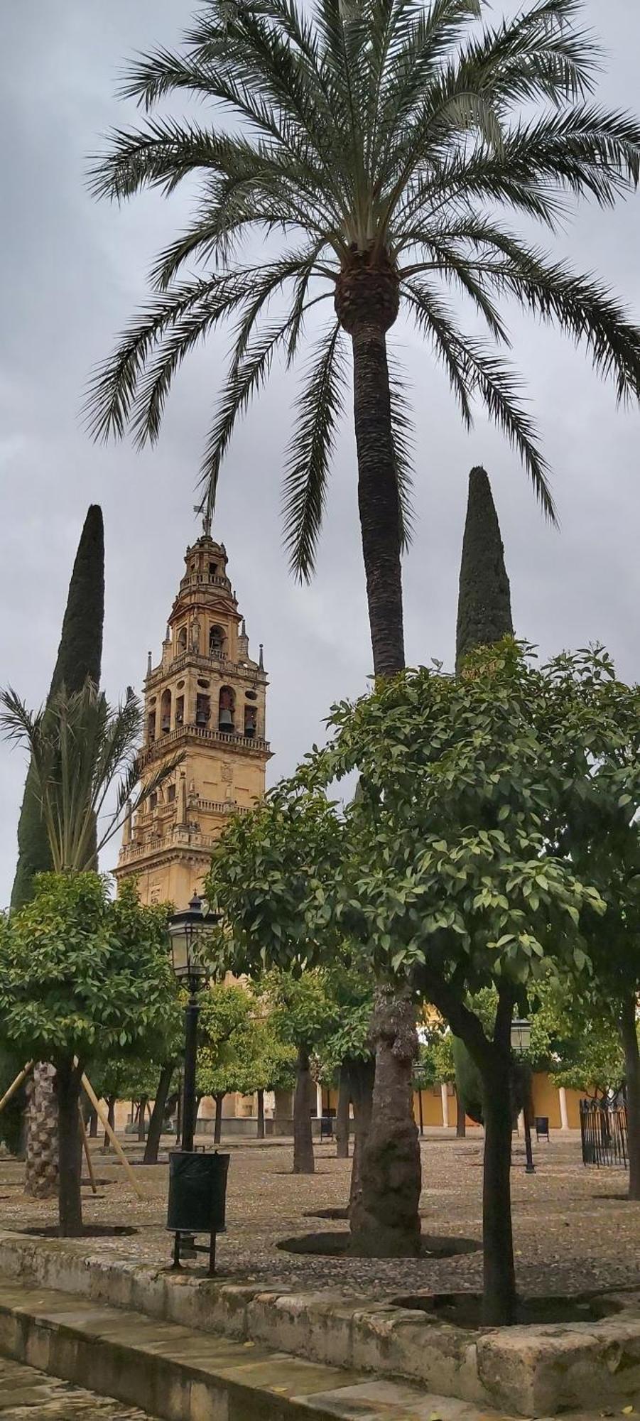 A 20 Metros De La Mezquita Catedral ,Apartamentos Turistico Cespedes 5 Córdoba Værelse billede